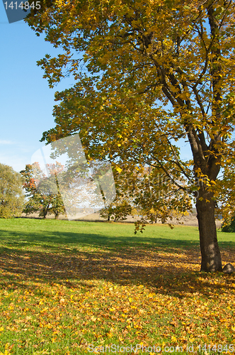 Image of Autumn landscape