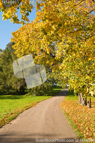 Image of Autumn landscape