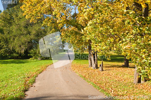 Image of Autumn landscape