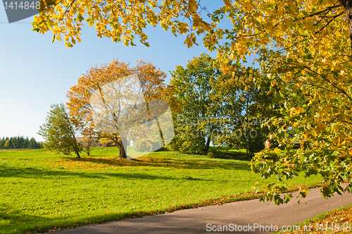 Image of Autumn landscape