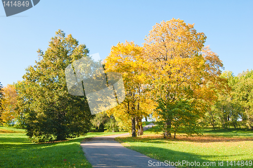 Image of Autumn landscape