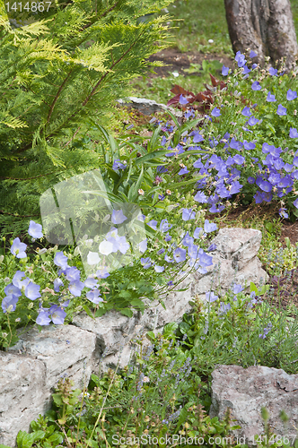 Image of Well-groomed spring garden