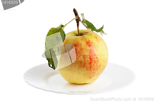 Image of Beautiful ripe apples, background