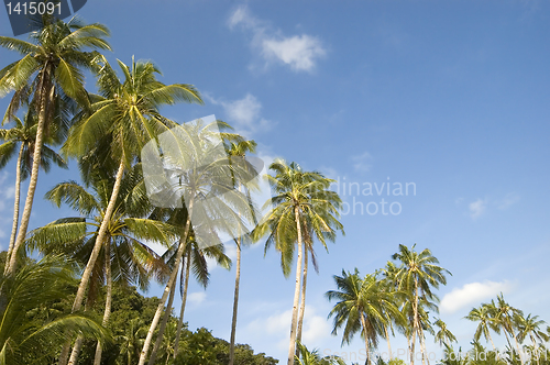 Image of Beach Resort