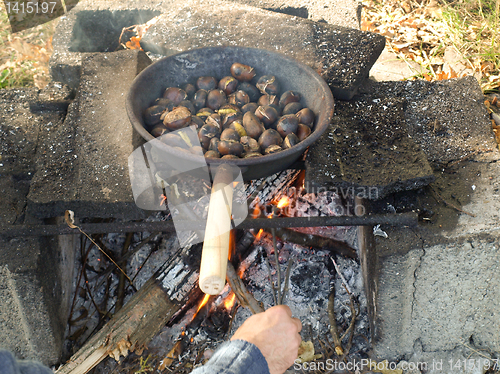 Image of Barbecue picture