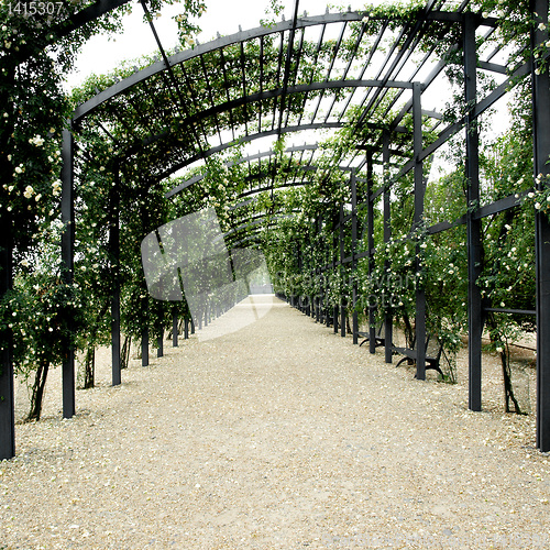 Image of Garden pergola