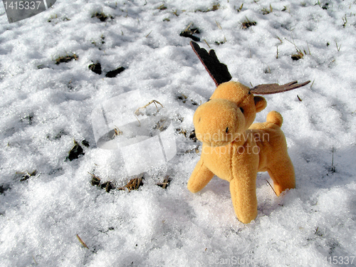 Image of Deer in snow greeting card