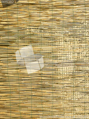 Image of Bamboo background