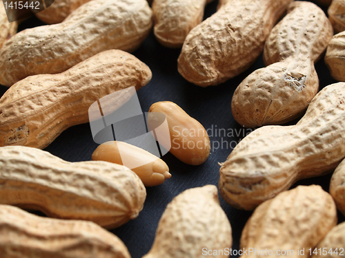 Image of Peanut picture