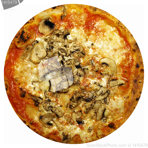 Image of Mushroom Pizza