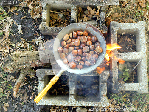 Image of Barbecue picture