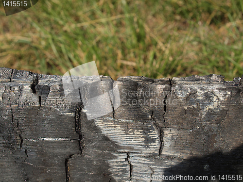 Image of Burned wood