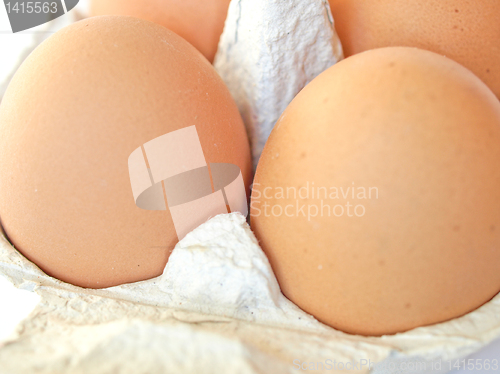 Image of Eggs picture