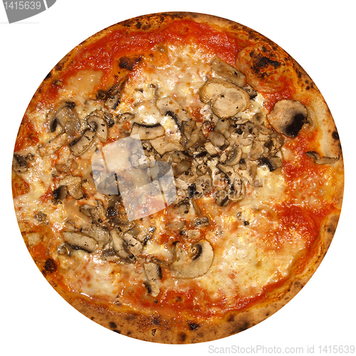 Image of Mushroom Pizza