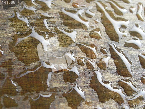 Image of Abstract drops