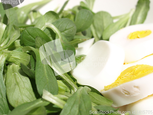 Image of Salad picture