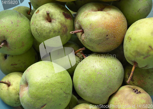 Image of Pears picture