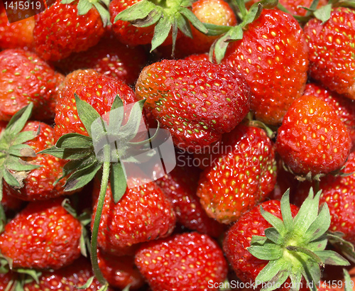Image of Strawberries