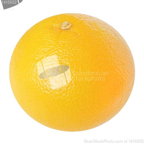 Image of Grapefruit picture