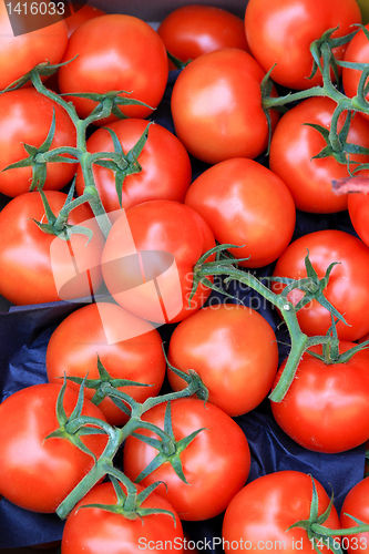 Image of Tomatoes