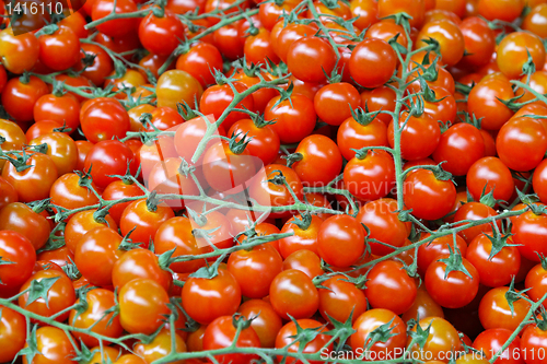 Image of Cherry Tomatoes