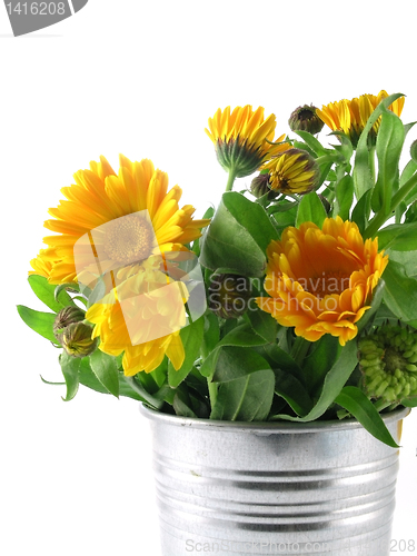 Image of marigold