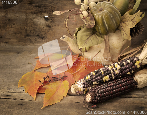 Image of Autumn Composition