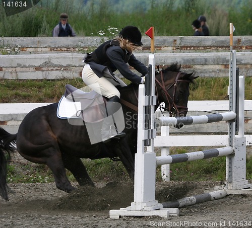 Image of Horse refusing to jump