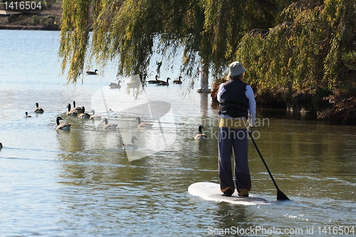 Image of Man on paddle-board with trees and geese