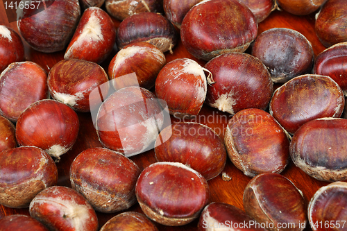 Image of chestnut