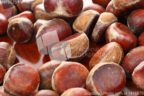 Image of chestnut