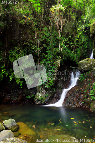 Image of waterfall in forest