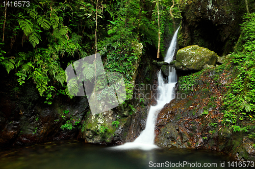 Image of Waterfall