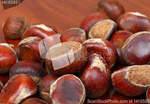 Image of chestnut