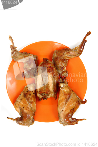 Image of roasted rabbit meat