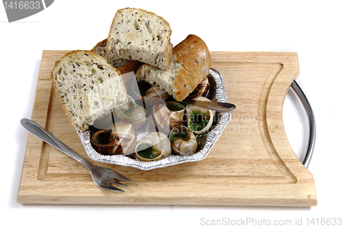 Image of snails as gourmet food 