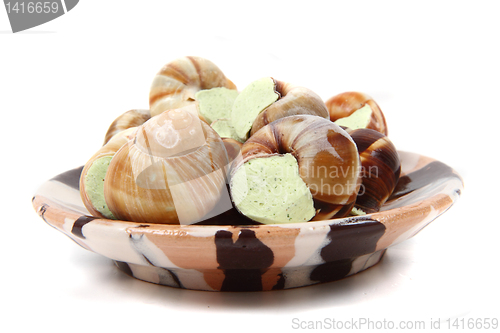 Image of snails as gourmet food 