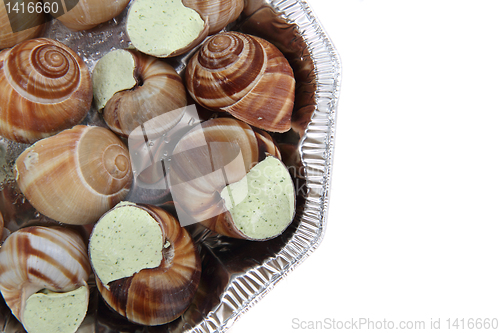 Image of snails as gourmet food 