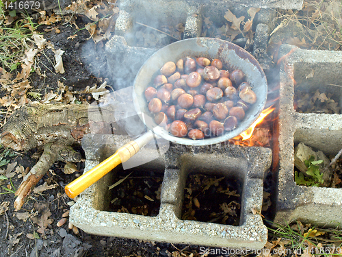 Image of Barbecue picture