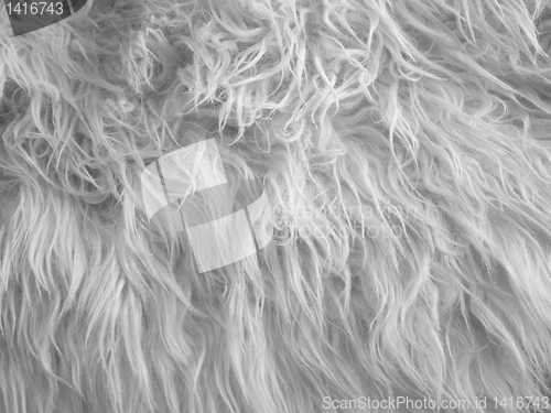 Image of Wool picture