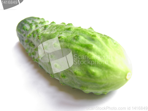 Image of Cucumber picture