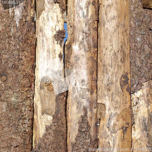 Image of Wood picture