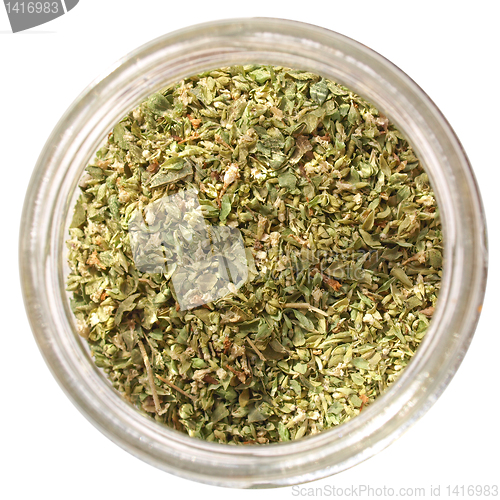 Image of Oregano picture