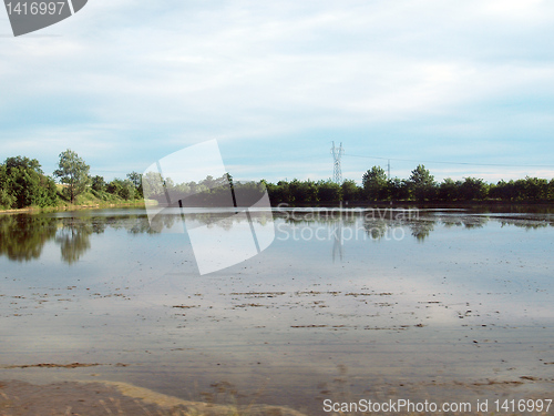 Image of Paddy field