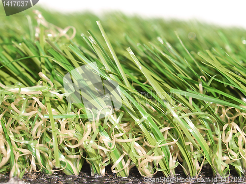 Image of Artificial meadow