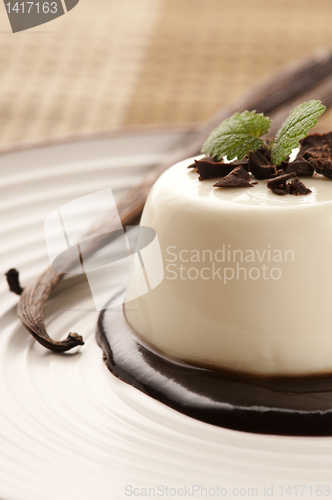 Image of Panna Cotta with chocolate and vanilla beans