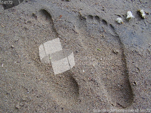 Image of Footprints