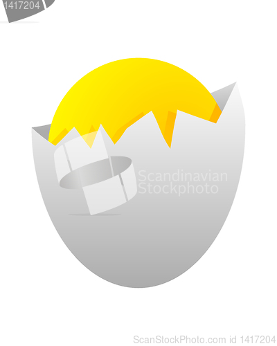 Image of Egg