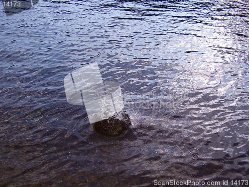 Image of wave
