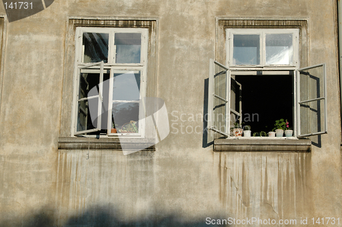 Image of window plants